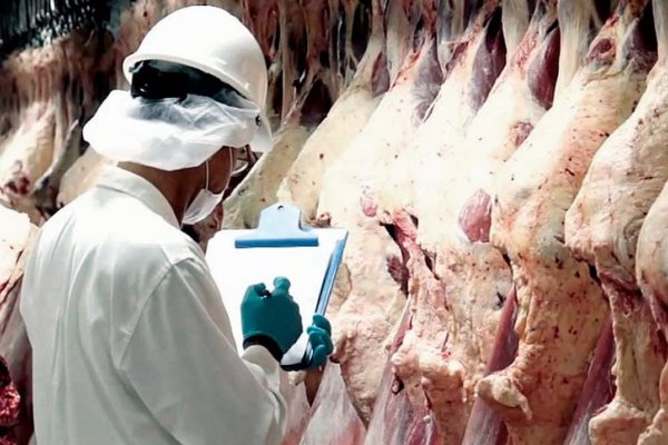 China inició una investigación sobre las importaciones de carne vacuna argentina