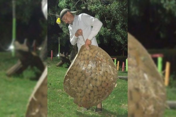 GIGANTES! Dos pescadores lograron capturas en el Río Paraná