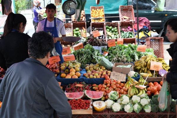 Ferias de la ciudad: hoy ofrecen sus productos en Plaza La Cruz