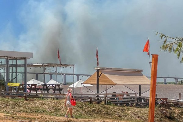 El 2025 arrancó con incendios en las islas del Delta del Paraná