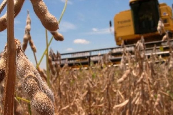 Productores agrarios contra Milei: reclaman la urgente quita de retenciones