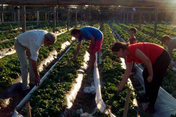 El Gobierno disolvió por decreto fondos fiduciarios con objetivos sociales: para agricultura familiar, vivienda social y comunicación