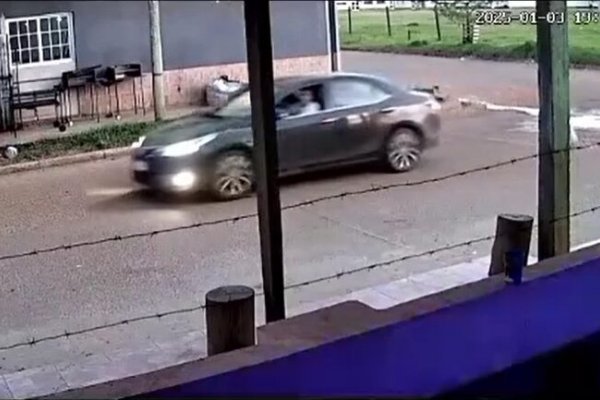 Corrientes: denuncian a un hombre por atropellar a un perro y dejarlo abandonado