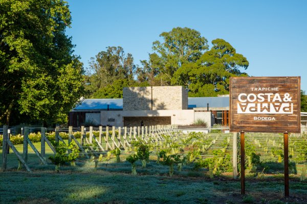 Bodega Trapiche Costa & Pampa: Una década de innovación y calidad en la viticultura Atlántica