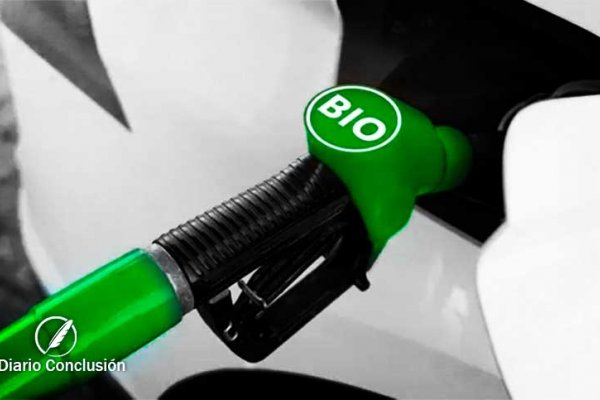 Autorizan primer aumento anual del valor del biodiesel y esperan repercusión en el precio del gasoil