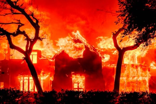 Incendios devastadores en California: al menos 11 muertos, 153.000 evacuados y 15.344 hectáreas arrasadas