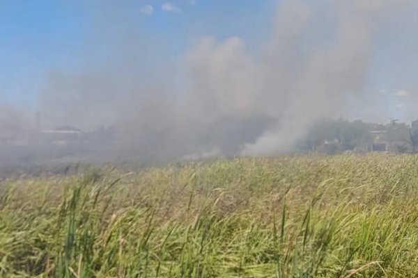 Impactante: enojo de un bombero voluntario correntino contra las autoridades provinciales