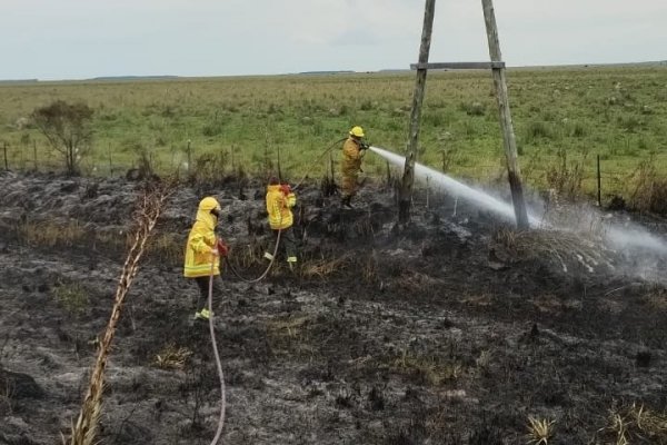 Advierten que los incendios en Corrientes son ocasionados por cazadores y piden intervención policial de la provincia