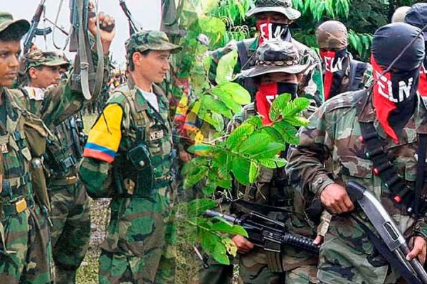 Al menos 60 muertos y cientos de desplazados en Colombia por enfrentamientos entre el ELN y las FARC