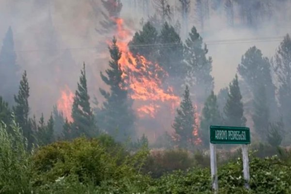 Imparable: continúa el incendio forestal en Epuyén y ya se quemaron más de 3 mil hectáreas