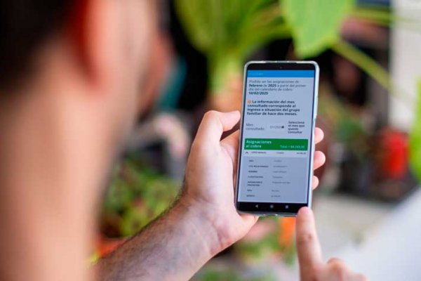 Anses incorporó funciones para acceder a detalles de cobro en las asignaciones