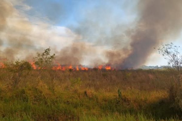 Incendio de gran magnitud sobre Ruta 12: diez dotaciones, avión hidrante y 35 bomberos para controlarlo