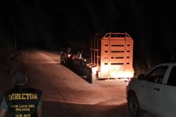 Corrientes: recuperaron un tráiler robado y apresaron a un hombre