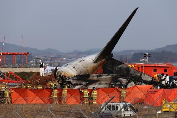 El informe preliminar sobre el avión siniestrado en Corea del Sur revela la presencia de plumas en los dos motores