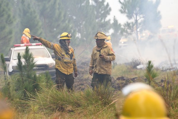 Impactante: en un incendio de magnitud en Mariano I Loza murió una mujer y piden intervención de la Provincia