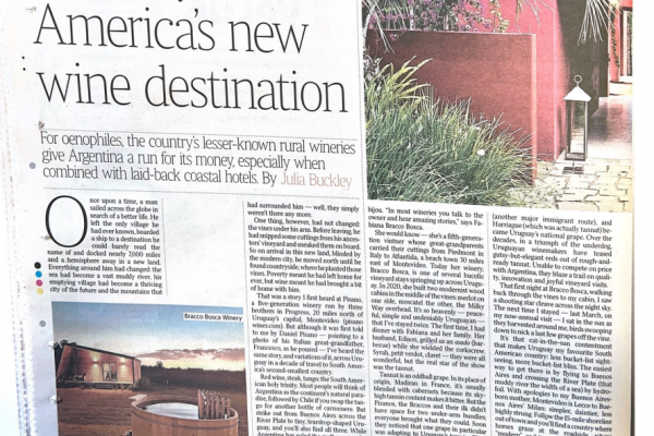 Uruguay: Destino emergente del vino sudamericano reconocido por The Times