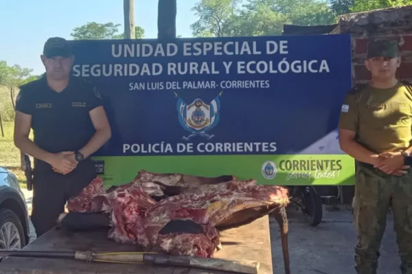 Abigeato en Corrientes: Incautaron carne de faena ilegal y una escopeta