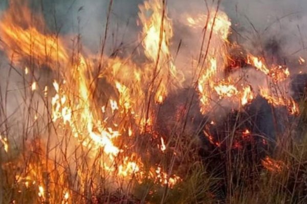 ATE! “Al Gobierno de Valdés le importa más los Carnavales y el Festival de Chamamé que los incendios en la provincia”