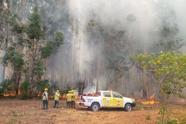 Tras los pedidos y reclamos el gobernador Valdés garantizó el combate al fuego