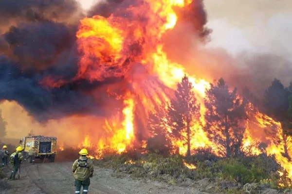 Sobre los incendios en el bosque andino patagónico