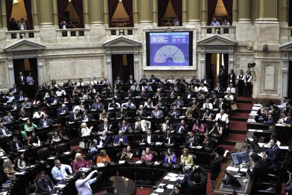 Suspensión de las PASO: correntinos entre el voto a favor, en contra, abstenciones y ausencias