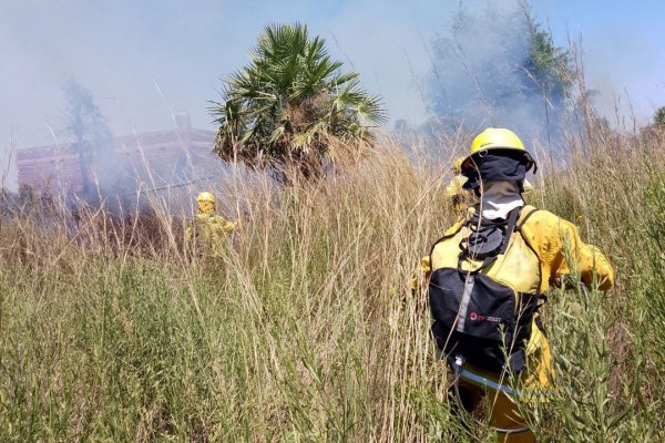 El gobierno mantiene el combate contra el fuego con guardias de cenizas y medios aéreos