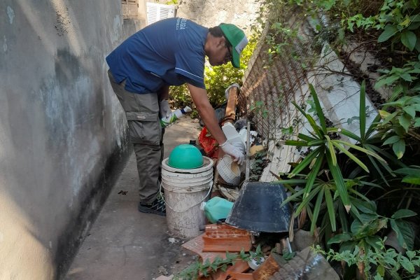 Reportan oficialmente el primer caso de dengue en Corrientes