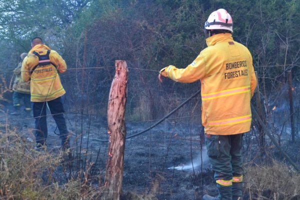 INCENDIOS! La Policía dice que todo está bajo control en Corrientes