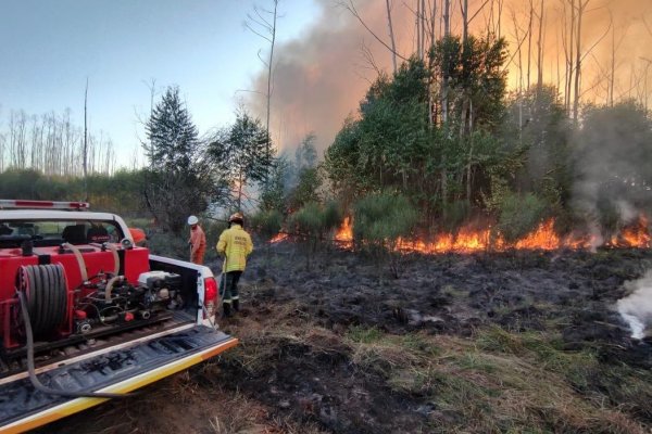 El Gobierno provincial sigue combatiendo dos focos en Bonpland y Perugorría