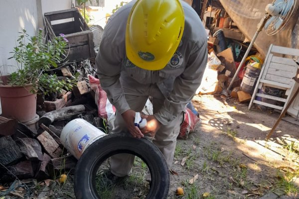 Equipos de Salud Pública recorren barrios para combatir el Dengue