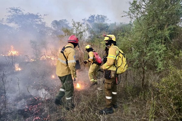 Incendios: escueto primer informe oficial de focos activos por parte de la Provincia