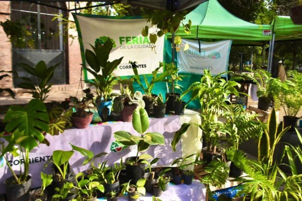 Feriantes: estarán hoy en Plaza La Cruz