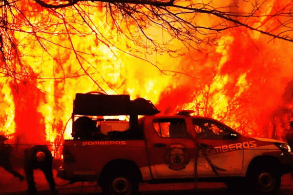 Sobre los incendios en el bosque andino patagónico