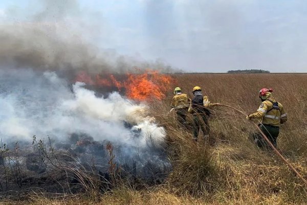 REVELACIÓN! Afirman que en 20 años los incendios en Corrientes afectaron el 90% del territorio