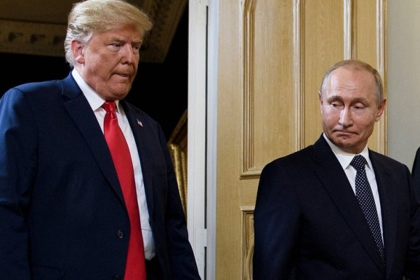 Putin anuncia que se reunirá con Trump «con mucho gusto», pero primero hay que preparar el encuentro