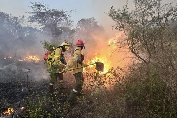 PEREJIL! Liberaron a un acusado por incendios en Corrientes