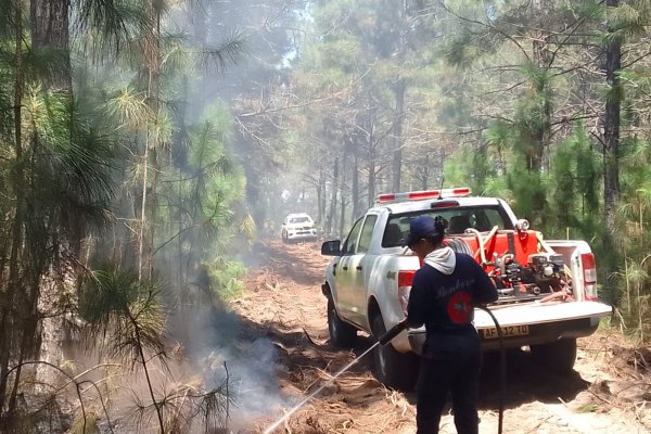 Incendios en Corrientes: un informe exhibe la importancia de los consorcios de manejo de fuego