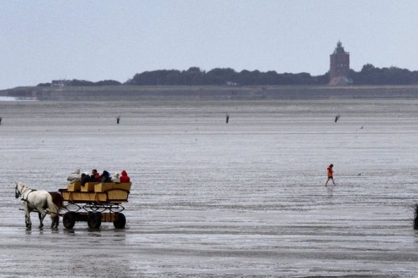 La extrema derecha alemana quiere confinar a solicitantes de asilo en una isla remota del mar del Norte