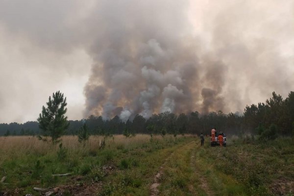 Continúa la alerta roja por incendios en toda la provincia y calor extremo