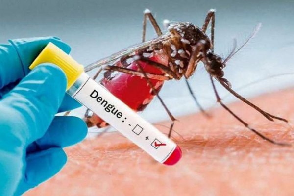 CHAQUE EL DENGUE! Corrientes compra 30 mil dosis de vacunas con una inversión de casi $1.000 millones