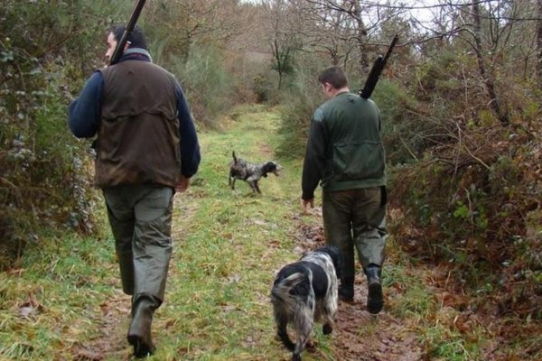 ILEGALES! Condenaron a dos hombres por delitos contra la fauna y portación de armas en Corrientes