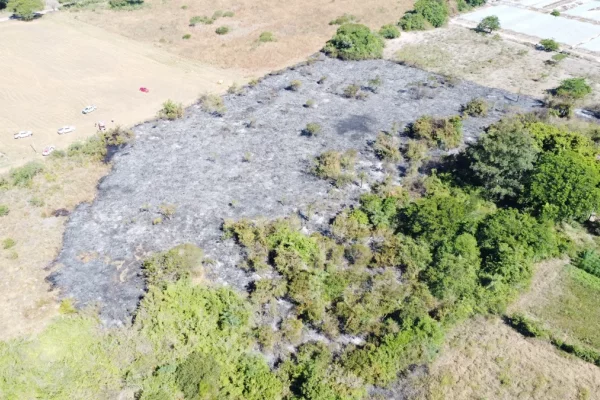 Se desató un incendio en los tendaleros de Cañada Quiroz y consumió dos campos