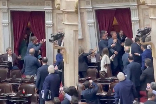 LIBERTARIOS A LAS PIÑAS! Zago y el correntino Lisandro Almirón se pegaron en plena sesión en Diputados