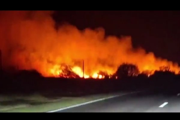 FUEGO! Siguen activos incendios en campos y Esteros de Corrientes