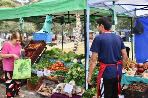 Martes 18 de marzo: plaza Torrent (Centro) y plaza Los Amigos (Libertad)