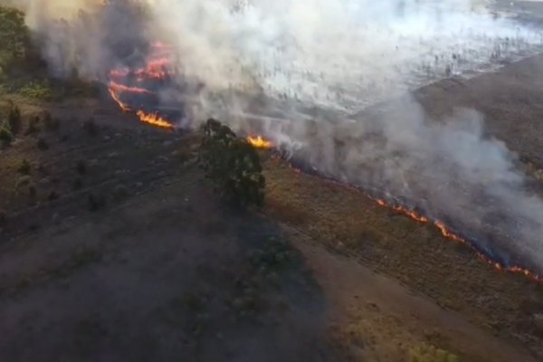 FUEGO EN IMÁGENES! Gigante incendio en Monte Caseros Corrientes