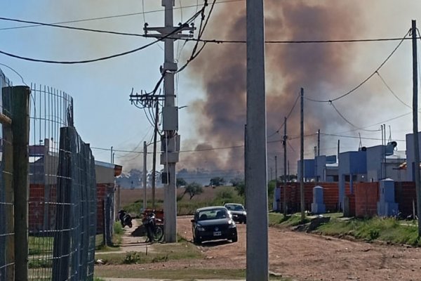 Incendios en Corrientes: tras los focos en Monte Caseros piden que la Justicia actúe